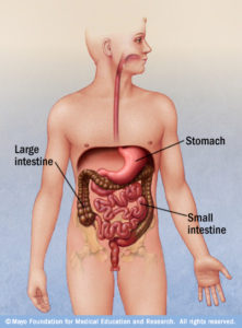 Mcdc7_viral_gastroenteritis